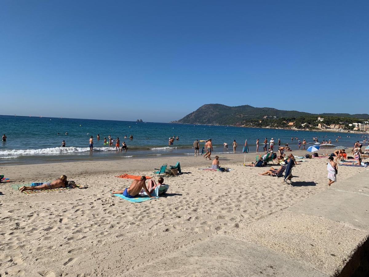 Plage A Pied A 3 Mns Leilighet La Seyne-sur-Mer Eksteriør bilde